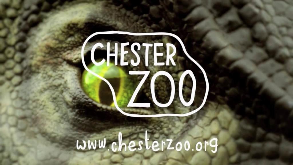 32 Pentland Close Chester Zewnętrze zdjęcie